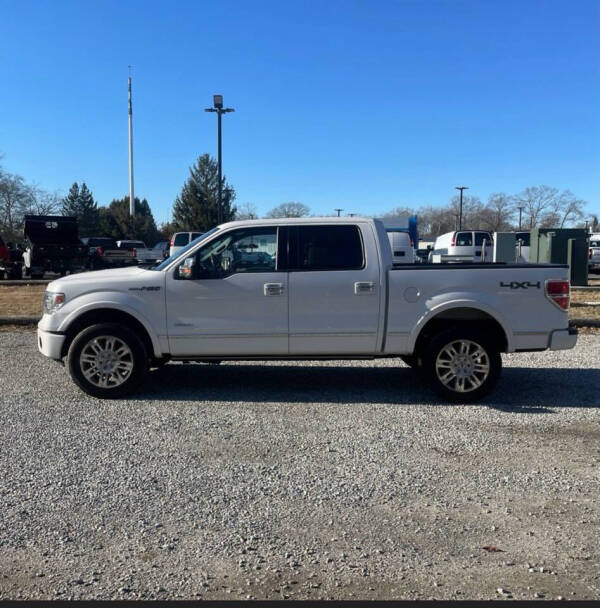 2013 Ford F-150 Platinum photo 3