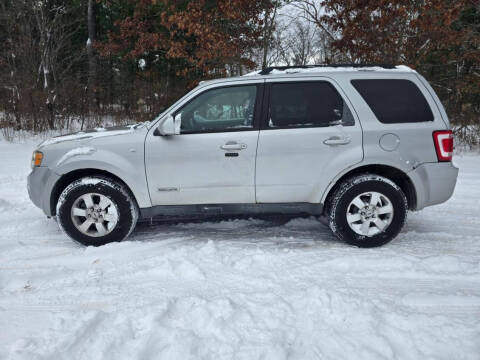 2008 Ford Escape for sale at Expressway Auto Auction in Howard City MI