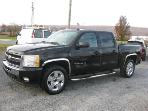 2011 Chevrolet Silverado 1500 for sale at Lipskys Auto in Wind Gap PA