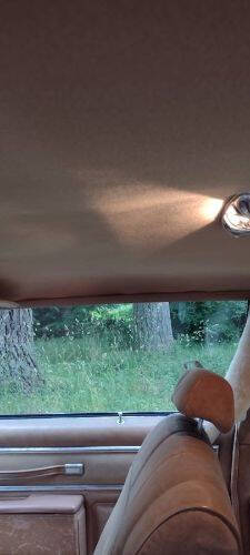 1979 Chevrolet Caprice