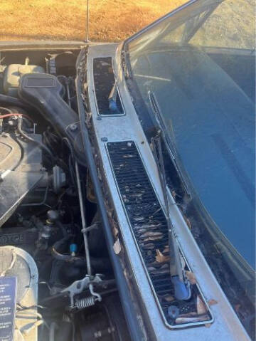 1981 Rolls-Royce Sedan