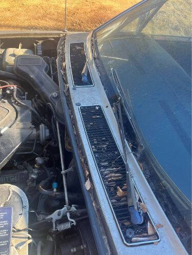 1981 Rolls-Royce Sedan