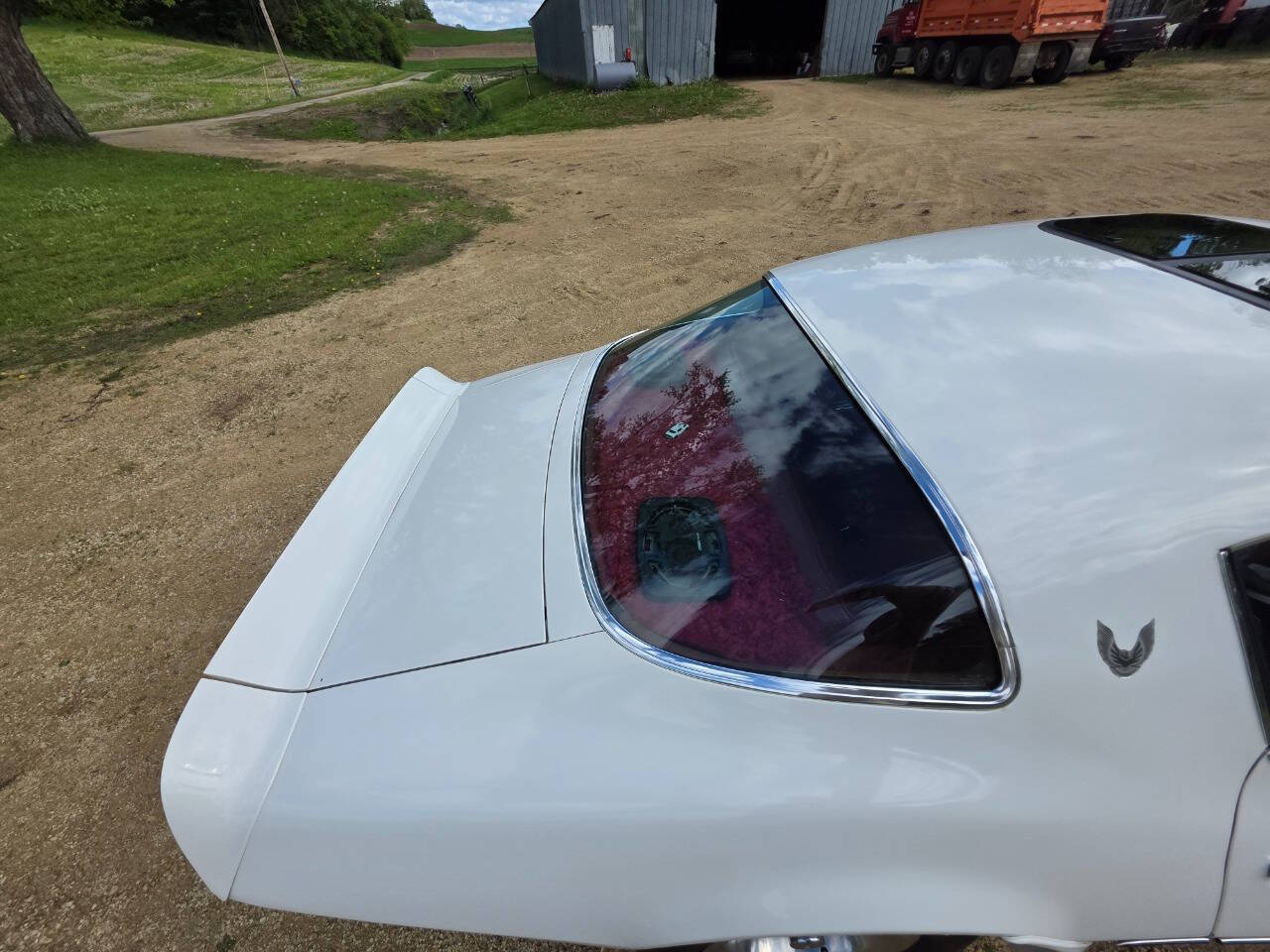 1976 Pontiac Trans Am 198