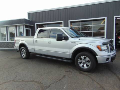 2012 Ford F-150 for sale at Akron Auto Sales in Akron OH