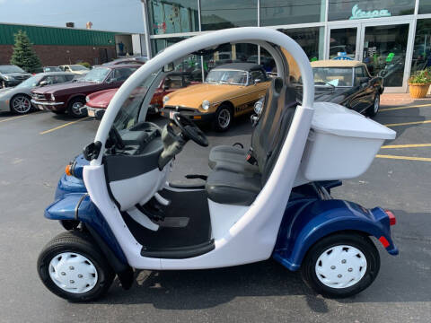 2013 GEM LSV E2