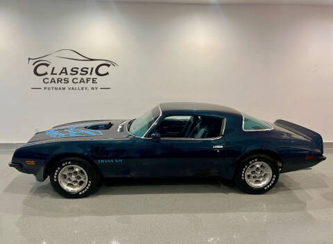 1975 Pontiac Trans Am for sale at Memory Auto Sales-Classic Cars Cafe in Putnam Valley NY