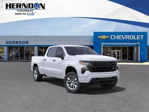 2023 Chevrolet Silverado 1500 for sale at Herndon Chevrolet in Lexington SC