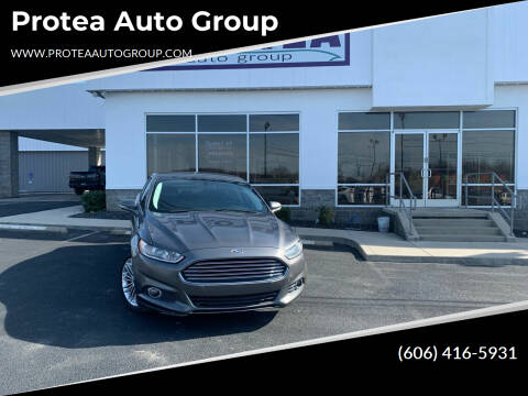 2014 Ford Fusion for sale at Protea Auto Group in Somerset KY
