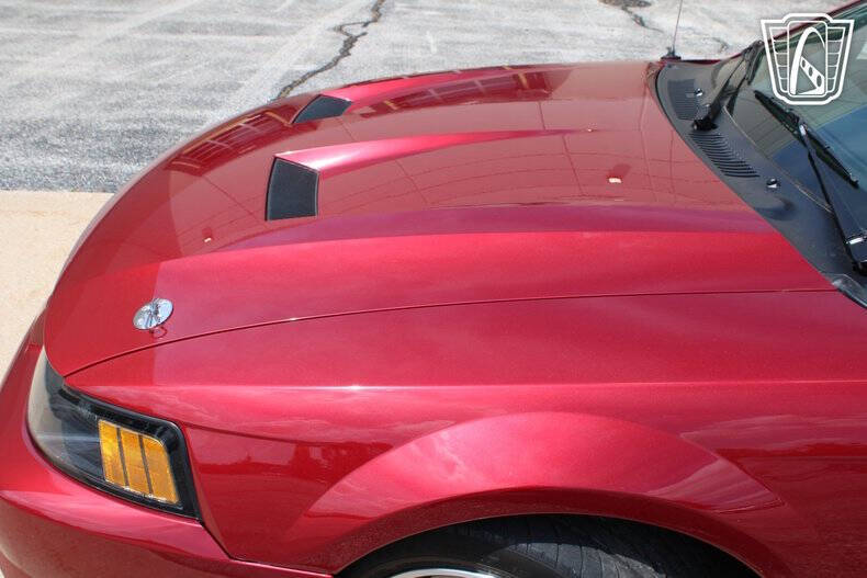 2003 Ford Mustang SVT Cobra