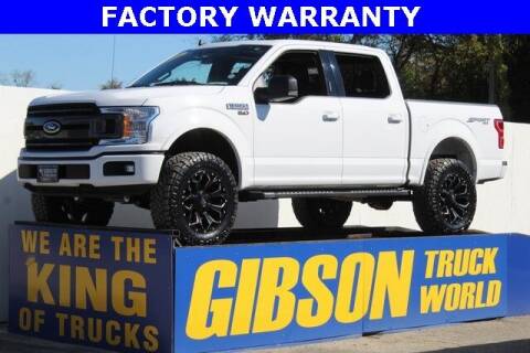 2020 Ford F-150 for sale at Gibson Truck World in Sanford FL