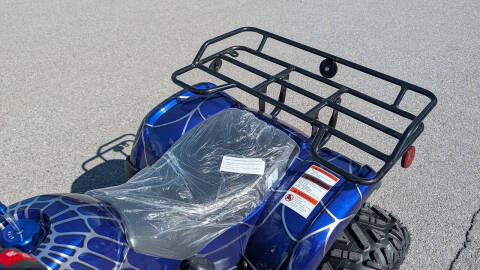 2026 TrailMaster B125