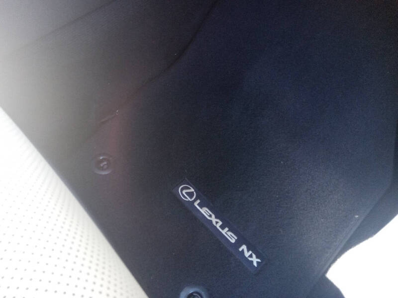2018 Lexus NX 300