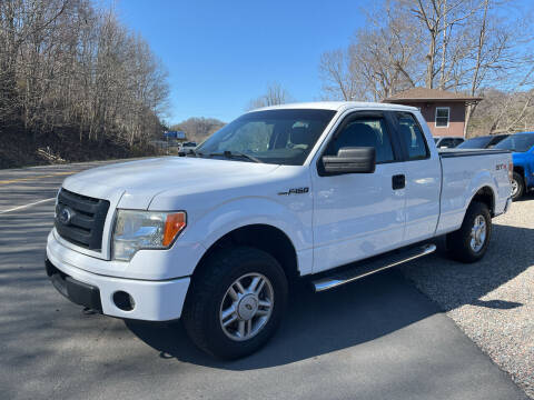 2010 Ford F-150 for sale at R C MOTORS in Vilas NC