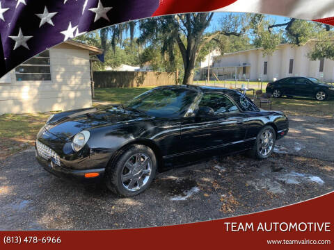 2002 Ford Thunderbird for sale at TEAM AUTOMOTIVE in Valrico FL