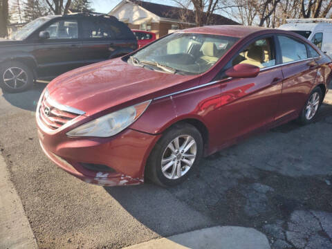 2011 Hyundai Sonata for sale at Cargo Vans of Chicago LLC in Bradley IL