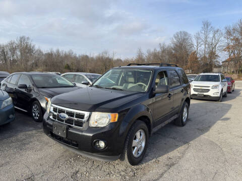 2011 Ford Escape XLT