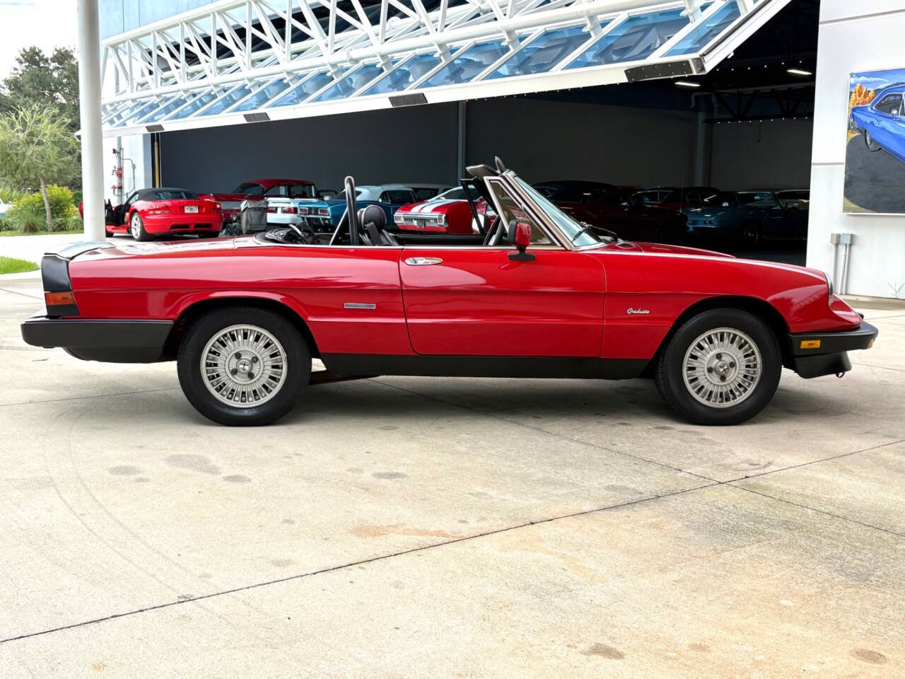 1986 Alfa Romeo Spider 4