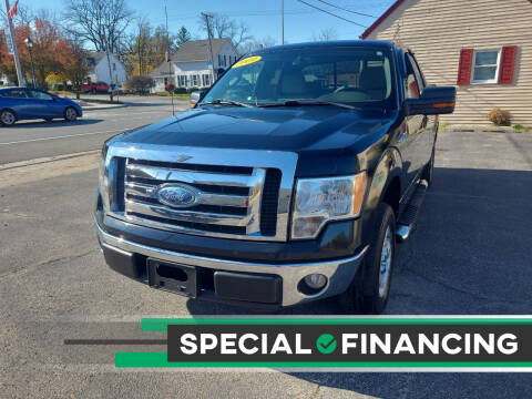 2009 Ford F-150 for sale at Discovery Auto Sales in New Lenox IL