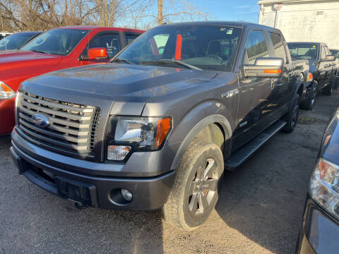 2011 Ford F-150 for sale at Auto Site Inc in Ravenna OH