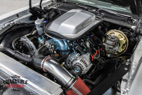 1981 Pontiac Firebird Trans Am