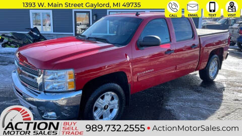 2013 Chevrolet Silverado 1500 for sale at Action Motor Sales in Gaylord MI