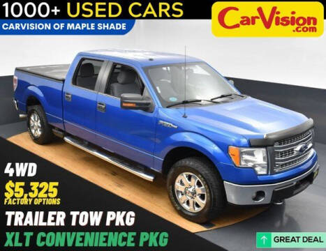 2013 Ford F-150 for sale at Car Vision Mitsubishi Norristown in Norristown PA