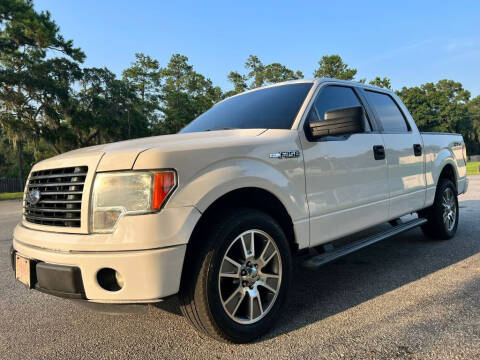 2014 Ford F-150 for sale at DRIVELINE in Savannah GA