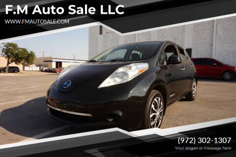 2015 Nissan LEAF for sale at F.M Auto Sale LLC in Dallas TX