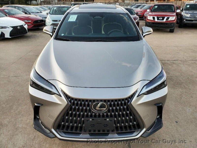 2024 Lexus NX 250