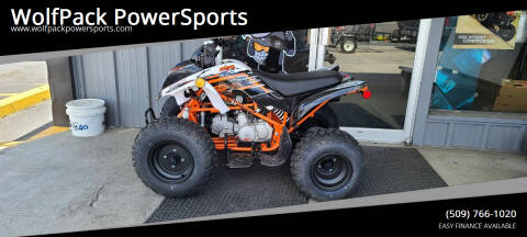 2022 KAYO STORM 150 for sale at WolfPack PowerSports in Moses Lake WA