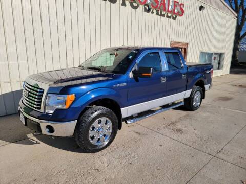 2012 Ford F-150 for sale at De Anda Auto Sales in Storm Lake IA