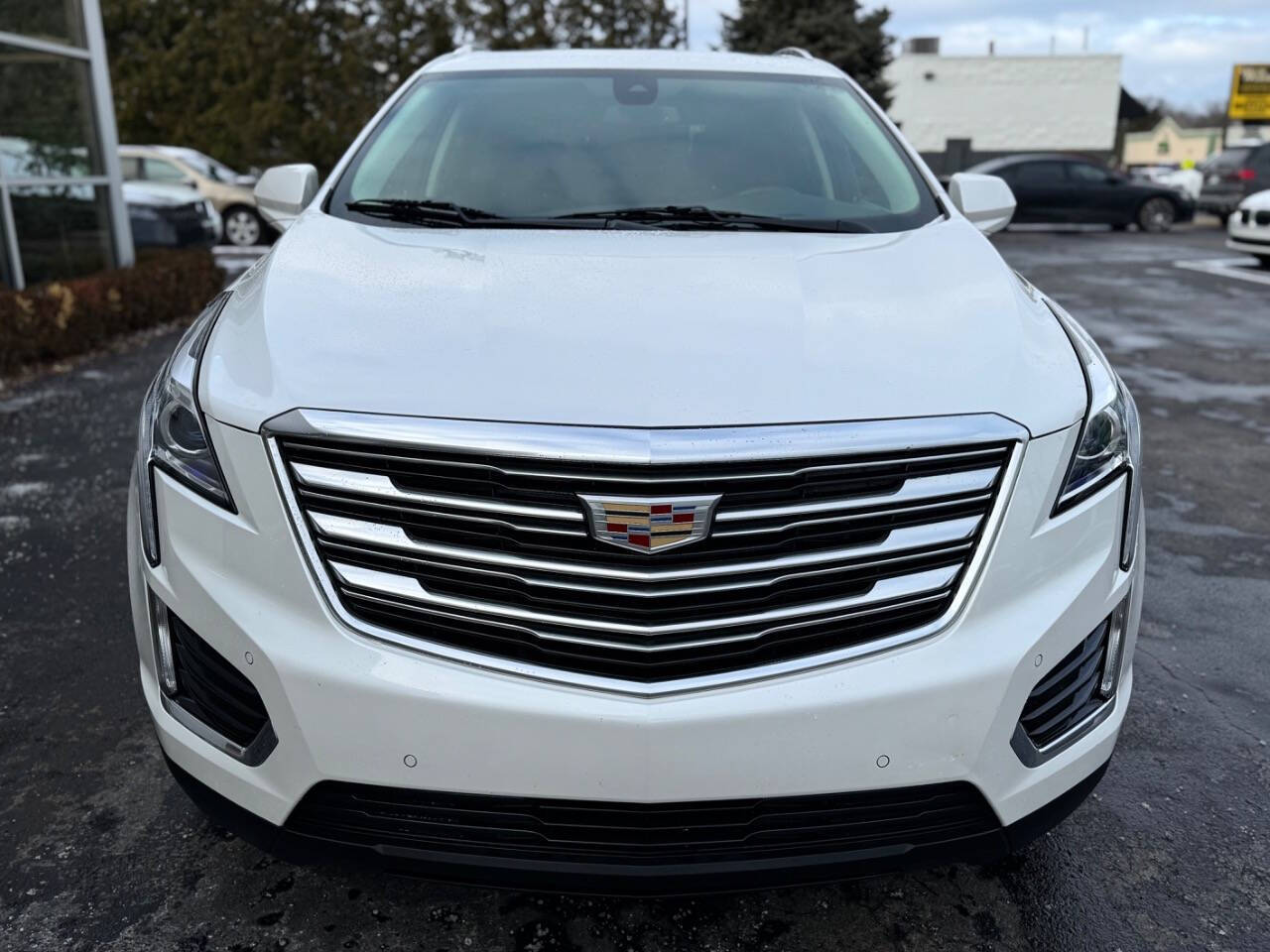 2019 Cadillac XT5 for sale at Opus Motorcars in Utica, MI