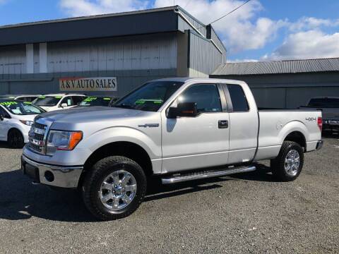 2013 Ford F-150 for sale at A & V AUTO SALES LLC in Marysville WA