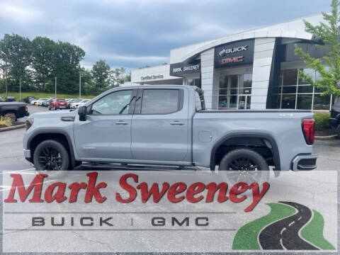 2024 GMC Sierra 1500 for sale at Mark Sweeney Buick GMC in Cincinnati OH