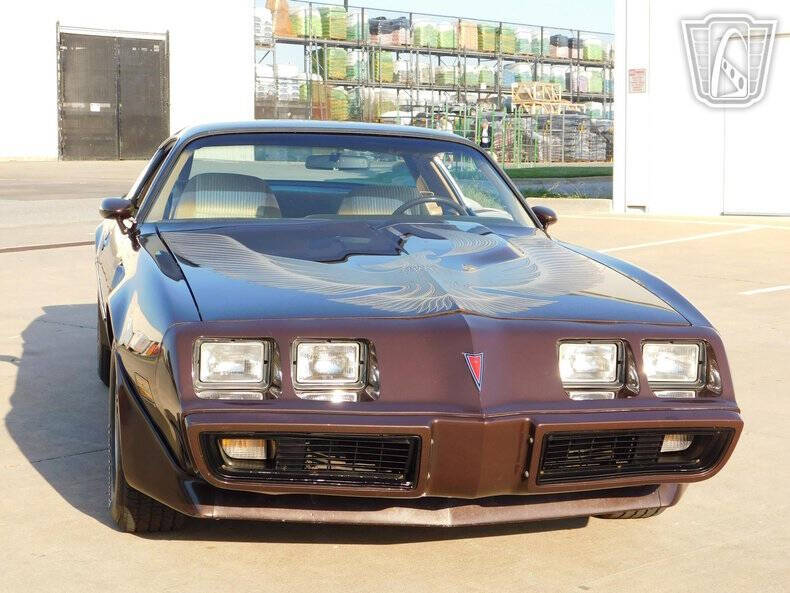 1981 Pontiac Firebird Trans Am