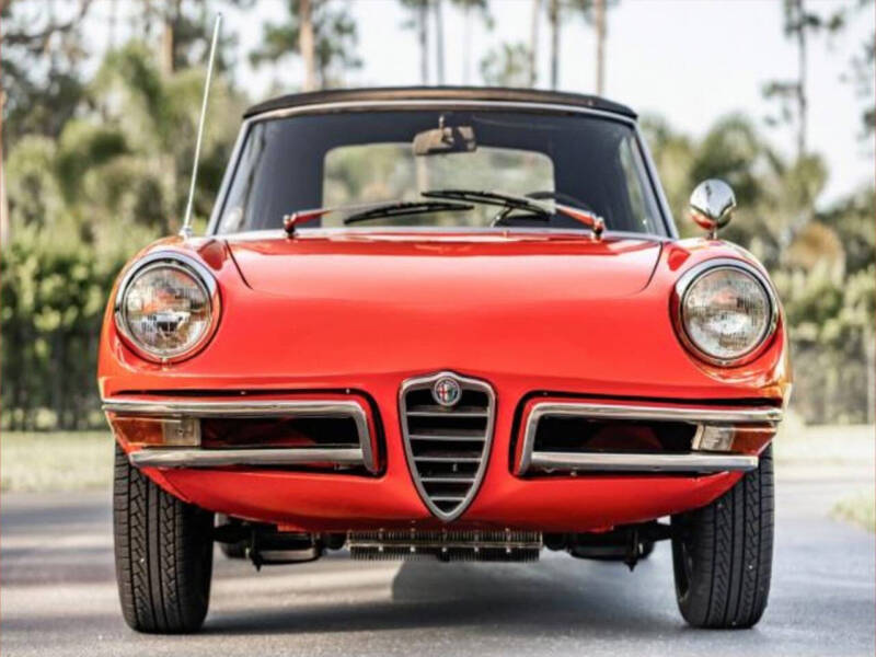 1966 Alfa Romeo Spider