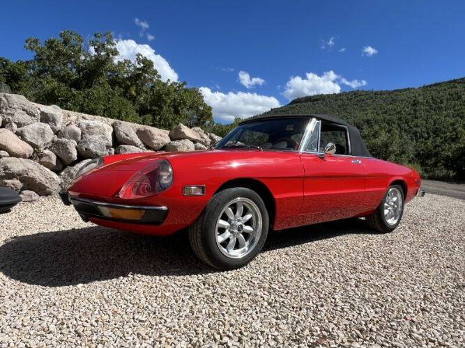 1972 Alfa Romeo Spider
