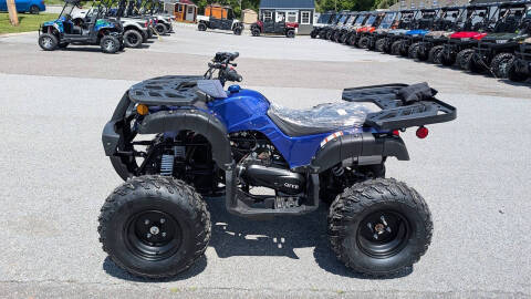 2025 TrailMaster 200 Utility