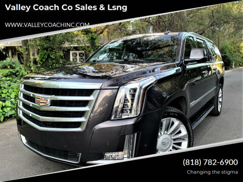 2017 Cadillac Escalade ESV for sale at Valley Coach Co Sales & Leasing in Van Nuys CA