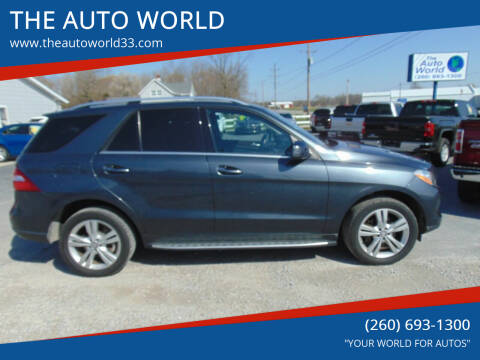 2014 Mercedes-Benz M-Class for sale at THE AUTO WORLD in Churubusco IN
