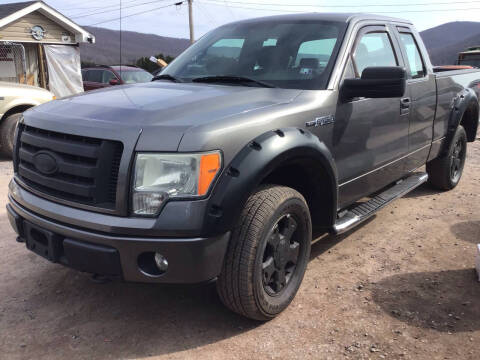 2009 Ford F-150 for sale at Troy's Auto Sales in Dornsife PA