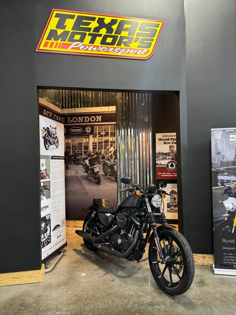 2022 Harley-Davidson XL 883 Sportster for sale at TEXAS MOTORS POWERSPORT in ORLANDO, FL