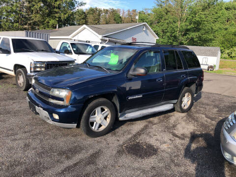 2002 Chevrolet TrailBlazer for sale at CENTRAL AUTO SALES LLC in Norwich NY