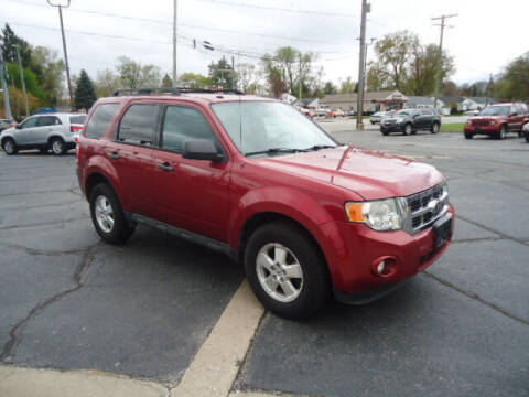2012 Ford Escape for sale at Tom Cater Auto Sales in Toledo OH