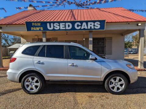 2007 Hyundai Santa Fe for sale at Paw Paw's Used Cars in Alexandria LA