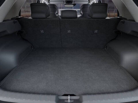 2025 Kia Niro EV Wave