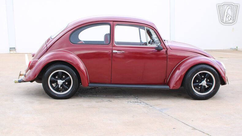 1966 Volkswagen Beetle