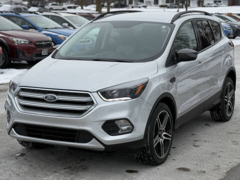 2019 Ford Escape for sale at North Imports LLC in Burnsville MN