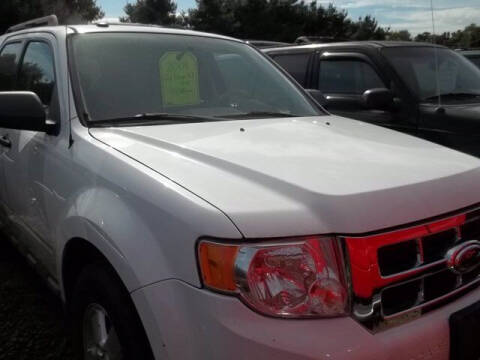 2009 Ford Escape XLT