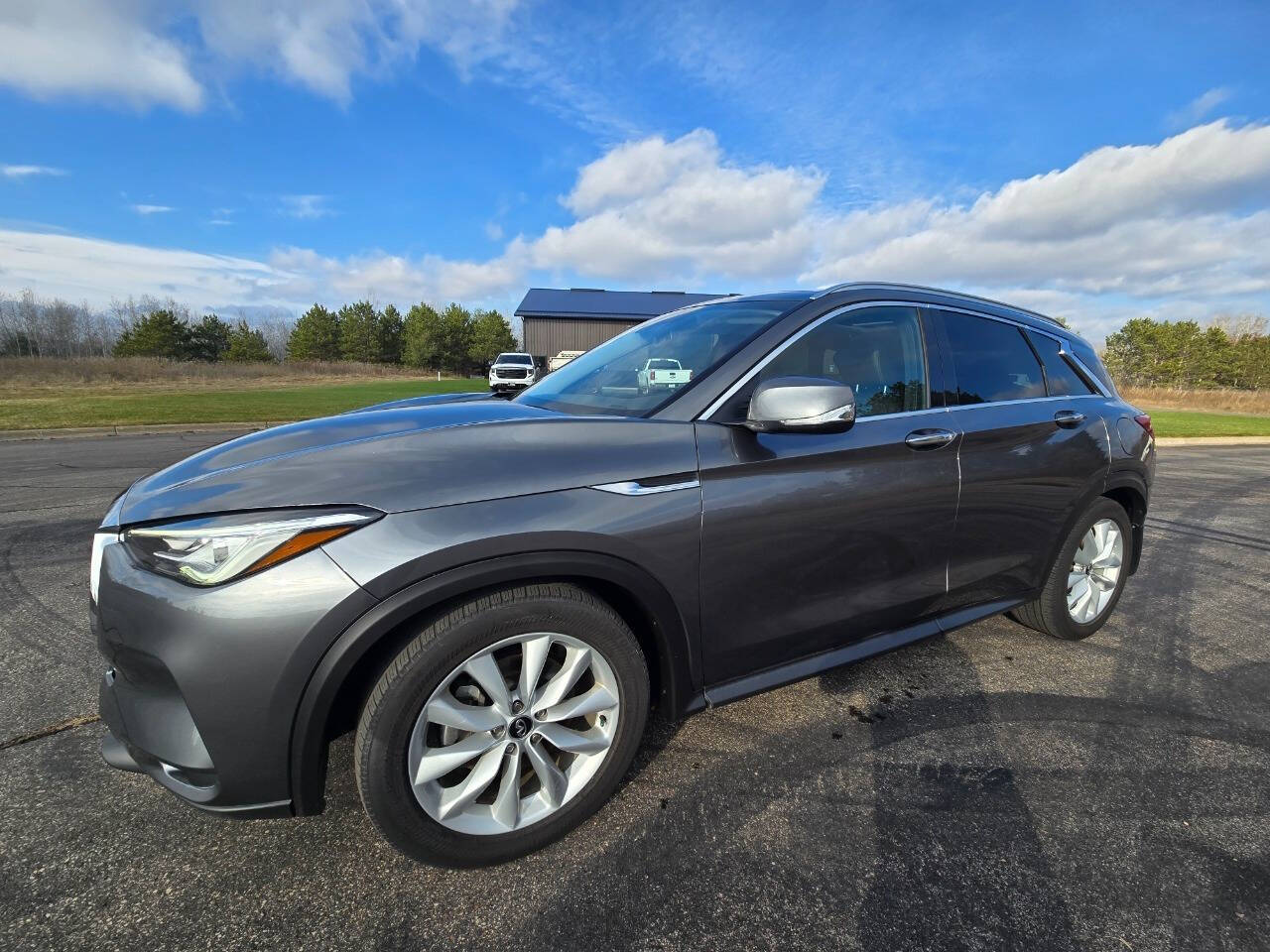 2019 INFINITI QX50 for sale at Dedicated Auto Sales Inc in Elk River, MN